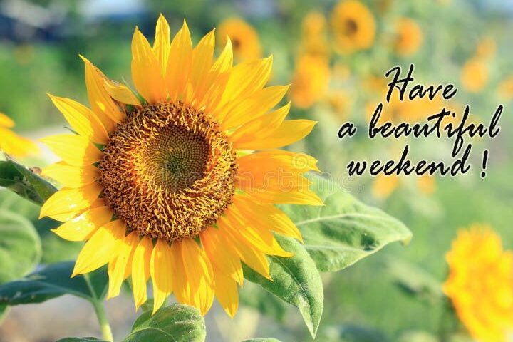 Frases de buenos días y feliz fin de semana para alegrar tu día 1 un fondo colorido con texto que dice buenos dias feliz fin de semana rodeado de flores y elementos alegres